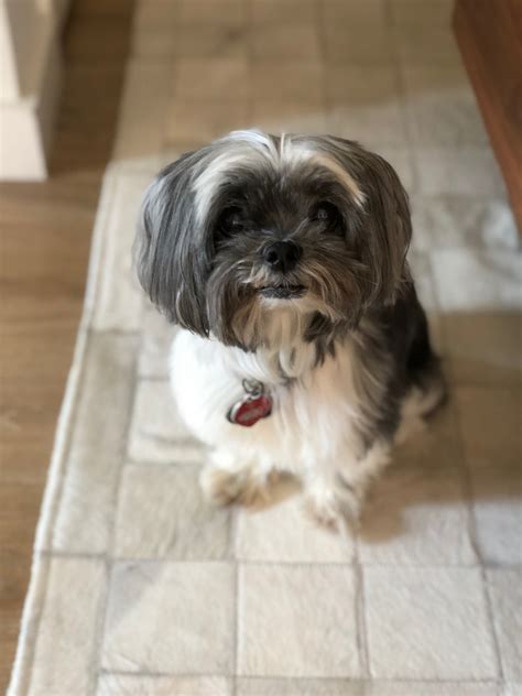 Seeking advice on choosing between two offers for my first job switch ...