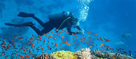 Island Divers • Best Scuba Diving In Andaman • Scuba Diving In Havelock