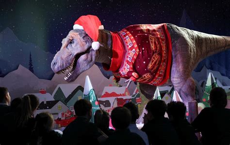The week in unusual pictures - November 6, 2025 | ロイター