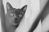 Image result for Warn Python