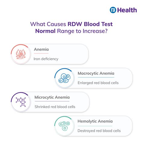 RDW Blood Test Normal Range: What Does This Tell You?