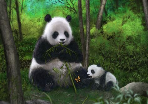 Panda Bear Wallpapers - Top Free Panda Bear Backgrounds - WallpaperAccess