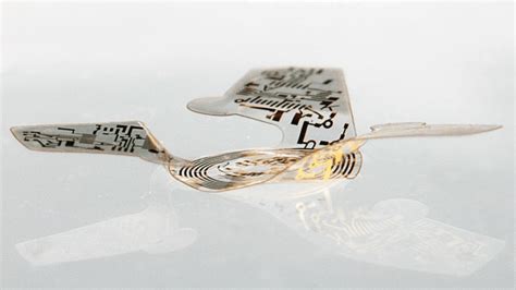 The electronic microchip now possesses the ability of flight - IBTimes ...