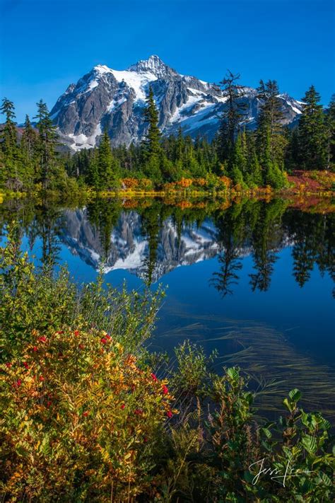 Washington 的图像结果