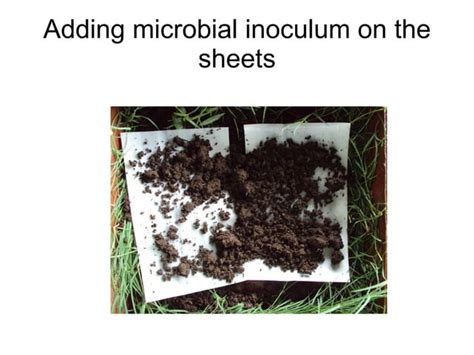 Image result for Images of Sheet Composting Method