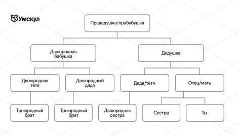 Генеалогическое древо семьи: как узнать, составить родословное дерево ...