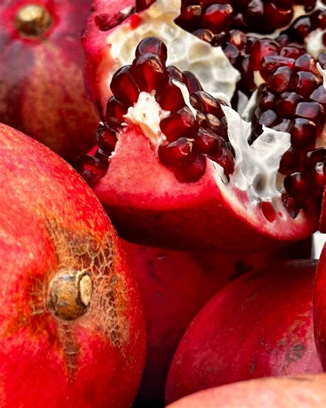 Coccinella | Extra Virgin Olive Oil | Cotton Textiles | Ceramics | Give ...