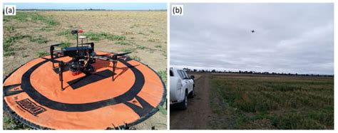 Remote Sensing | Special Issue : High-Throughput Phenotyping of Crop ...