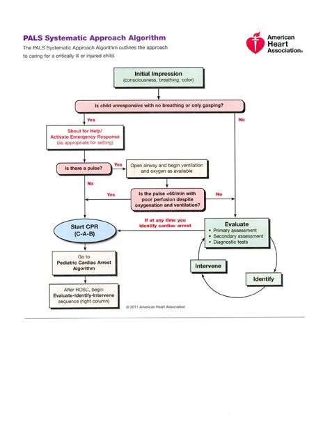 Pals Systematic Approach Algorithm 的图像结果