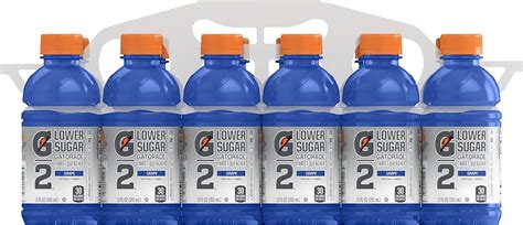 Amazon.com : Gatorade G2 Thirst Quencher, Grape, 20 Ounce Bottles (Pack ...