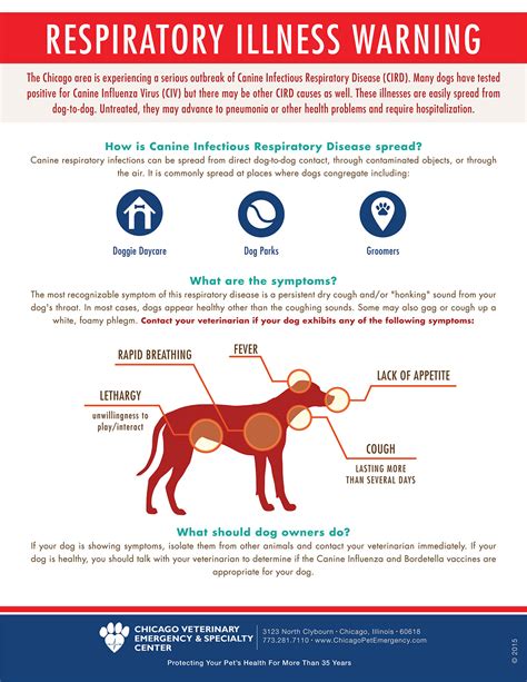 What Causes Respiratory Problems In Dogs
