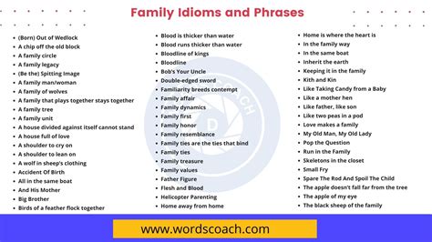 60+ Family Idioms and Phrases - Word Coach