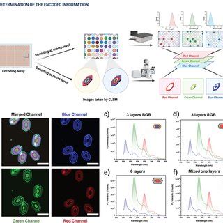 Image result for Decoding Techniques