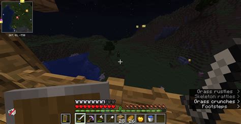 Image result for Minecraft Mod Insomnia