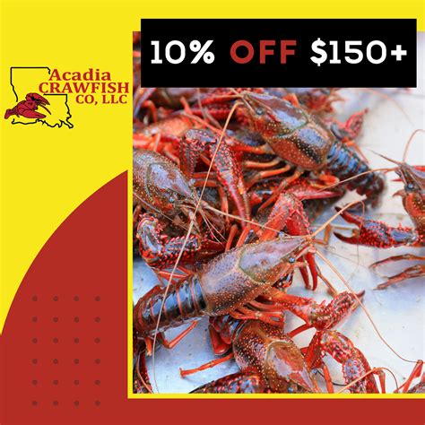 ArtStation - Social Media Posts - Acadia Crawfish