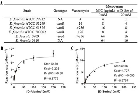 D-Serine Can Modify the Wall Teichoic Acid of MRSA via the dlt Pathway
