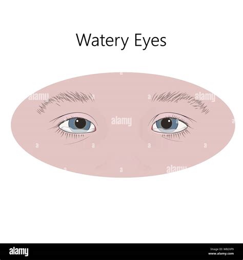 Watery eyes, illustration Stock Photo - Alamy