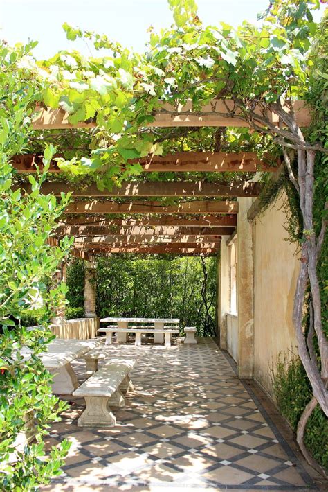 Vine Plants As Shade Cover: Creating Shade With Vining Plants | Buiten ...