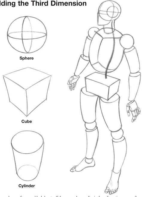 Image result for Cunstructive Figure Drawing