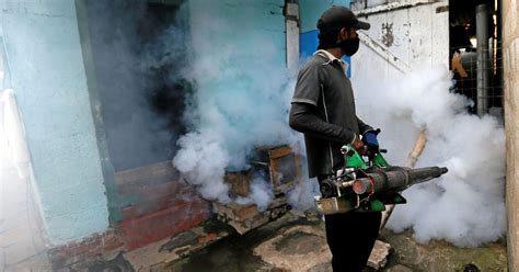 Sri Lanka dengue outbreak: 225 dead in six months, 76,000 cases of ...