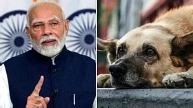 'Take Care Of Animals Around You': PM Modi's Old Video Resurfaces Amid ...