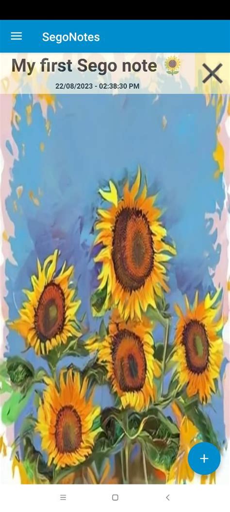 Sketchub • SegoNotes