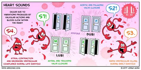 Heart sounds (S1,S2,S3,S4)Fuente:medcomic.com Best Nursing Schools ...