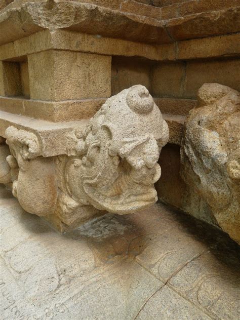 Tamil Nadu Temple Run: Srinivasanallur | Sarson ke Khet