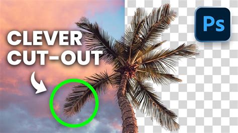 Image result for Photoshop Tutorial Cut