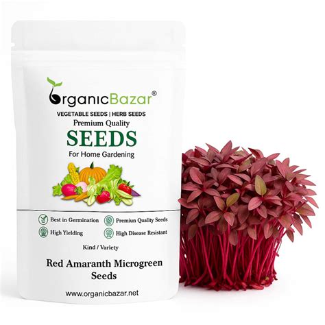 Buy Microgreen Seeds Online in India at Best Price - OrganicBazar ...