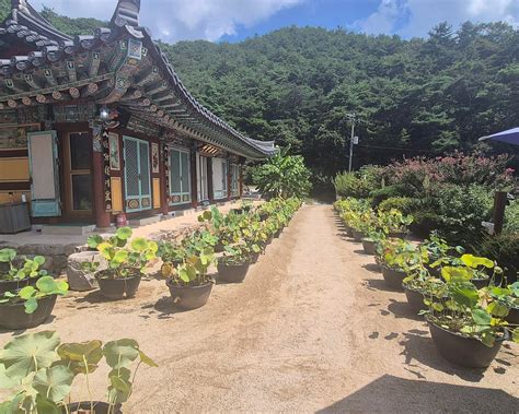 THE 30 BEST Places to Visit in Gumi (2026) - Must-See Attractions