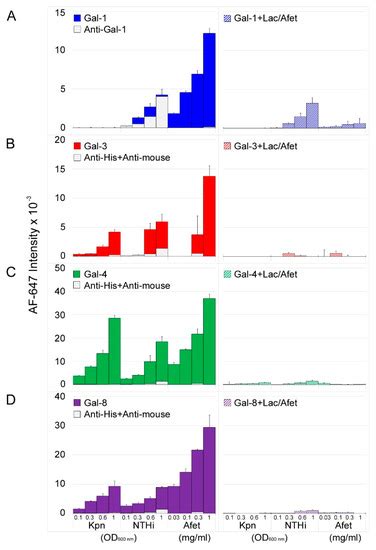Exploration of Galectin Ligands Displayed on Gram-Negative Respiratory ...