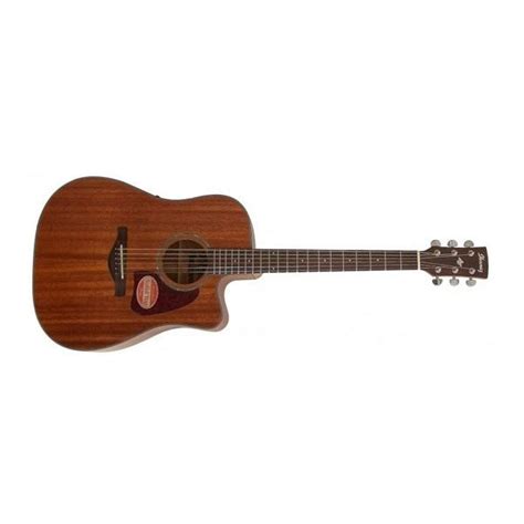 Ibanez AW240ECE Electric Guitar - Open Pore Natural – BAJAAO.COM