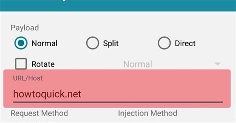 Image result for Best Payload for HTTP Injector