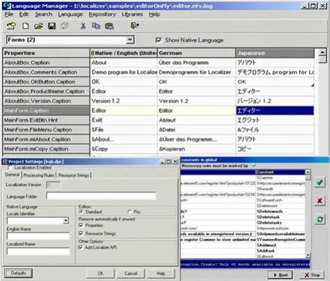 Image result for Define Localizer