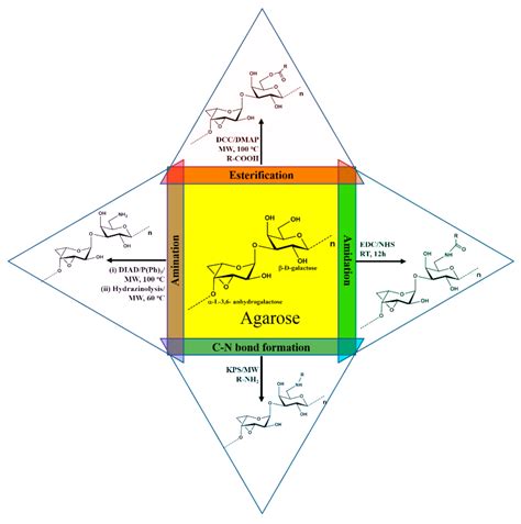 Seaweed Polysaccharide Based Products and Materials: An Assessment on ...