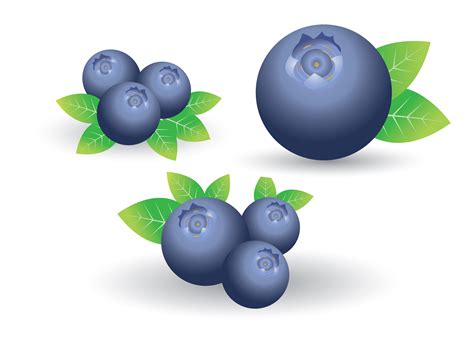 Free Blueberry Clipart Cute Cartoon Blueberry Vector - vrogue.co