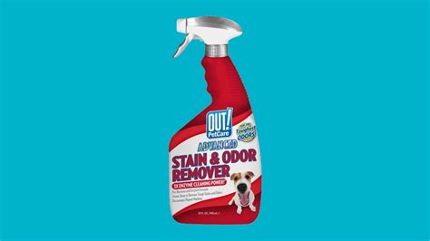 How Does Out! Pet Stain & Odor Remover Work Against Stains? | Tidy Diary