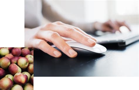 Contact Us | Healthy Blue Missouri