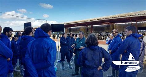 ¿Cómo fue el curso de Ecografía Reproductiva y Visceral en Vacuno de ...