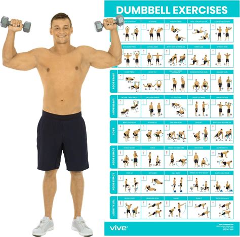 Vive Dumbbell Exercise Poster - Home Gym Workout for Upper, Lower, Full Body - Laminated ...