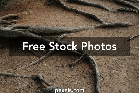 Image result for Roots Compressor Animation