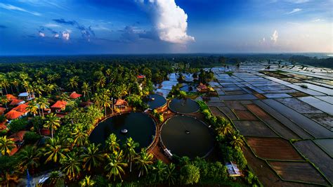 Rainwater Harvesting in Kerala Everything You Need to Know