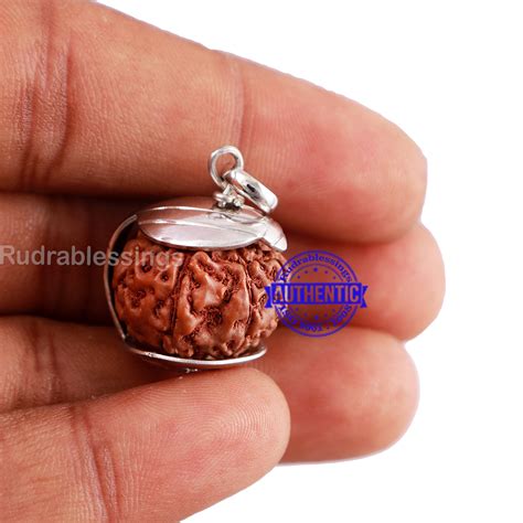 8 Mukhi Indonesian Rudraksha Pendant in Pure Silver - 1 – Rudra and Sons