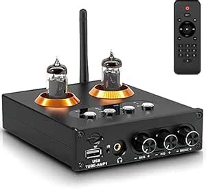 Hdiwousp 2 Channel Amplifier,Bluetooth Stereo Audio Amplifier Mini Hi ...