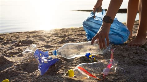 Image result for Sea Turtle Adaptations