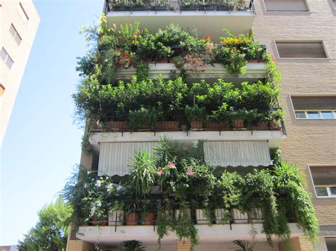 Pin di byjoshjames su ALL ABOUT THE GREEN nel 2024