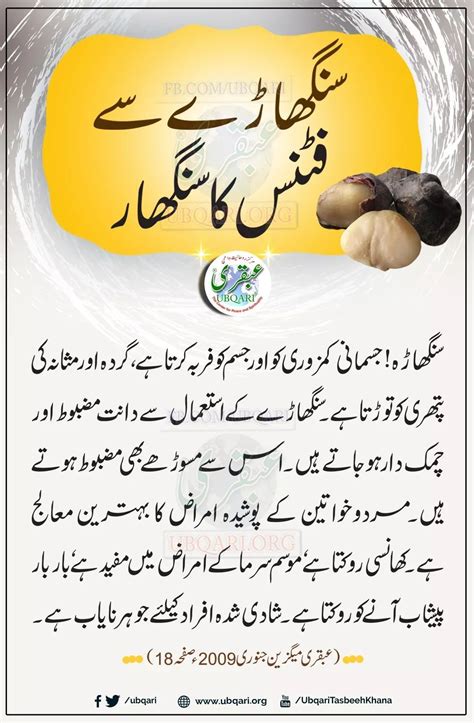 Pin de Reema Zafar en Food info