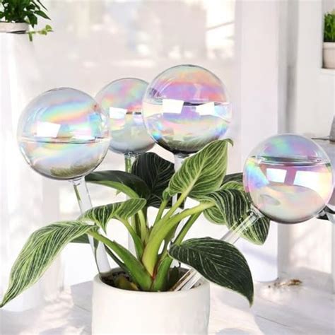 ecofynd Pack of 1 Self Watering Planter Insert, Light Clear Glass ...