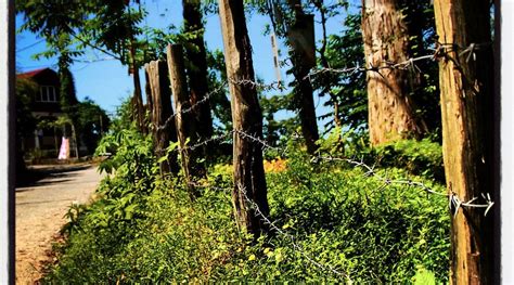 HOTEL HILLS KVARIATI - Hostel Reviews & Photos - Tripadvisor